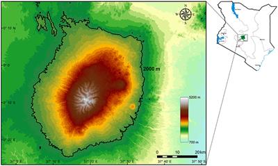 Spatial Congruence or Mismatch Between Phylogenetic and Functional Structure of Seed Plants Along a Tropical Elevational Gradient: Different Traits Have Different Patterns